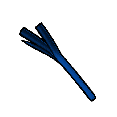 Leek