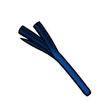Leek